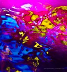 Preliminari Preliminari