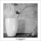 :: S.T. ... :: S.T. ...