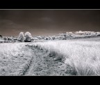 Infrared Infrared
