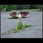 Chornobyl - La rivincita della natura Chornobyl - La rivincita della natura