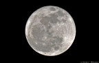 Luna piena... Luna piena...