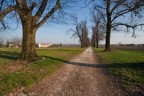 viale villa Barbaro Maser viale villa Barbaro Maser