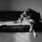 italian next top model italian next top model