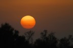 TRAMONTO CAMARGUESE TRAMONTO CAMARGUESE