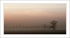 Avvicinamento all'alba Avvicinamento all'alba