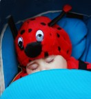 Sogni d'oro Sogni d'oro