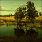 réserve faunique réserve faunique