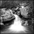 ice age: the other meltdown ice age: the other meltdown