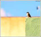 Vista dall'alto-Inaugurando il tamron. Vista dall'alto-Inaugurando il tamron.