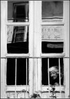 Aspettando il buio Aspettando il buio