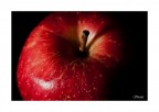 "Vuoi assaggiarla? Tieni..coraggio...dalle un morso "Vuoi assaggiarla? Tieni..coraggio...dalle un morso