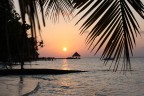 Tramonto, Maldive Tramonto, Maldive