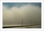 La nebbia color del cielo La nebbia color del cielo