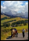 salita verso l'alpe salita verso l'alpe
