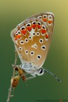 La bella addormentata... La bella addormentata...