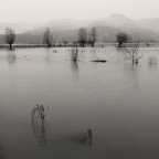 Campagne allagate Campagne allagate