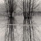 Campagne allagate Campagne allagate