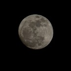 Luna in Perigeo Luna in Perigeo