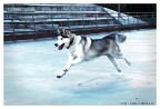 ...ares... ...ares...