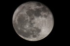 Luna piena realizzata in digiscoping, gradite impressioni soprattutto riferite alla particolare tecnica.