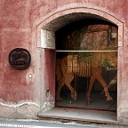 Aspettando un altro Ulisse Aspettando un altro Ulisse