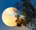 La luna sul tetto La luna sul tetto