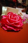Vi regalo una rosa Vi regalo una rosa