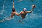Pallanuoto o lotta?? Pallanuoto o lotta??