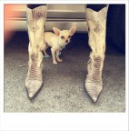 iphone test iphone test