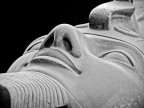 Ramses II Ramses II