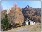 colori autunnali colori autunnali