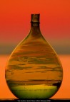 la the world in a bottle la the world in a bottle