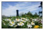 Spring Spring