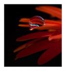 Quasi vetro.. Quasi vetro..