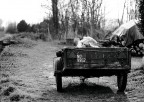 Carretto.......non armato Carretto.......non armato