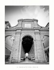Il mercato del pesce