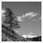 Montagna - BN Montagna - BN