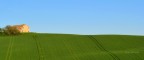 Sulla collina