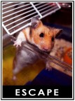 ESCAPE ESCAPE