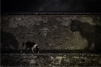La Passeggiata La Passeggiata