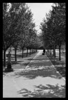 ritorno solitario ritorno solitario