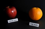 pelli fruttifere pelli fruttifere