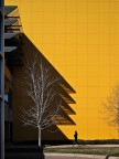 Big yellow wall Big yellow wall