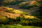 Golden Hills Golden Hills