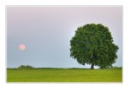 Plenilunio d'aprile Plenilunio d'aprile