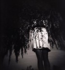 Capelli di foglia Capelli di foglia