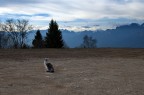 Sguardo verso...