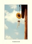 The Dreamcatcher The Dreamcatcher