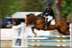 Concorso ippico Concorso ippico