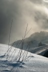 Paesaggio minimale